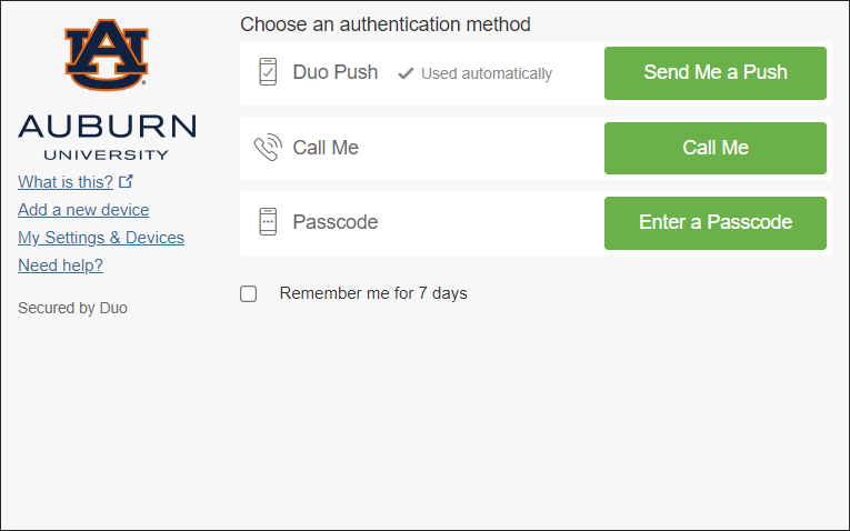 Duo Traditional Prompt